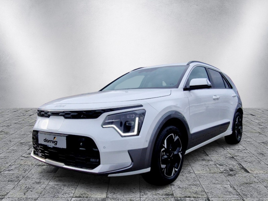KIA Niro EV Inspiration, Klimaaut., PDC