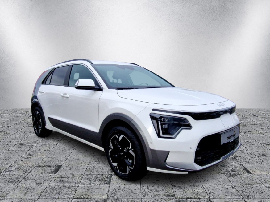 KIA Niro EV Inspiration, Klimaaut., PDC