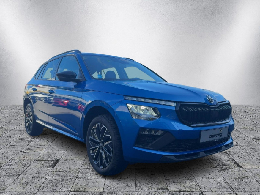 SKODA Kamiq Plus DSG, SHZ, Kamera, LED