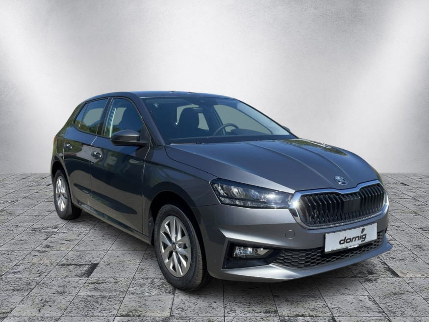 SKODA Fabia Edition,Kamera,Wi-Pak.,5 J.Gar