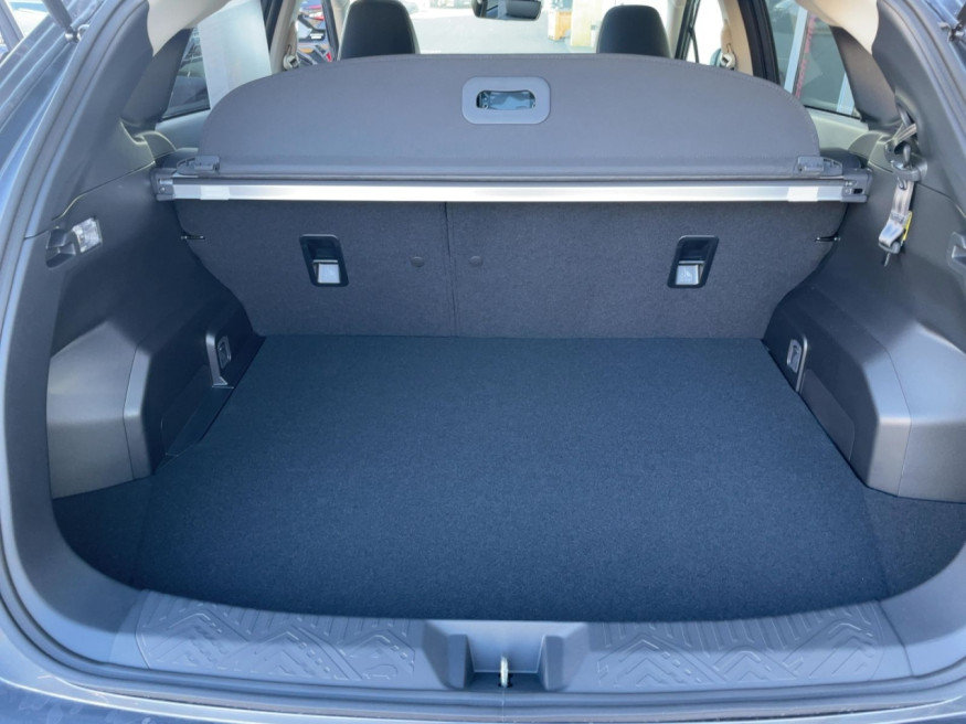 SUBARU Crosstrek Platinum 2.0ie e-Boxer