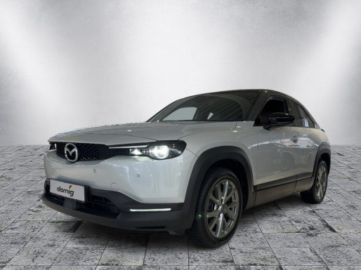 MAZDA MX-30 Basis, Kamera, LED